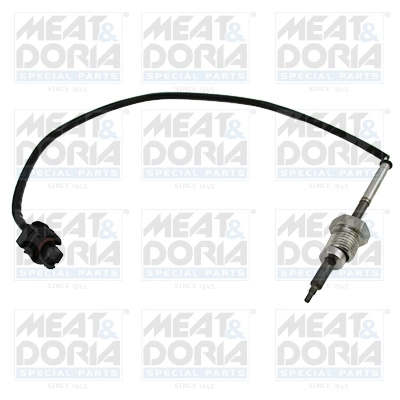 Sensor, exhaust gas temperature